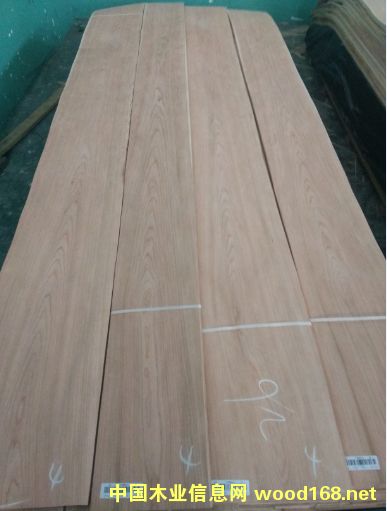 ��������ɽ�y��ȻľƤ