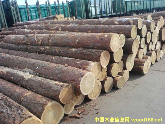 ���_˹����ԭľ��Ԕ����B