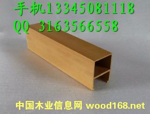 �P�\ ���� �Pɽ���Bľ�S�҃r��