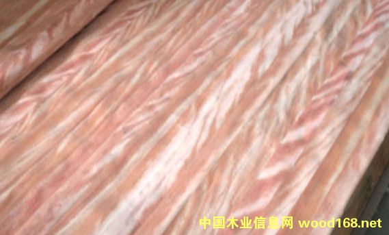 ��ľ��Ƥ��Ԕ����B