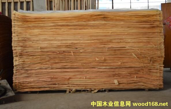  �t��ľƤ��Ԕ����B