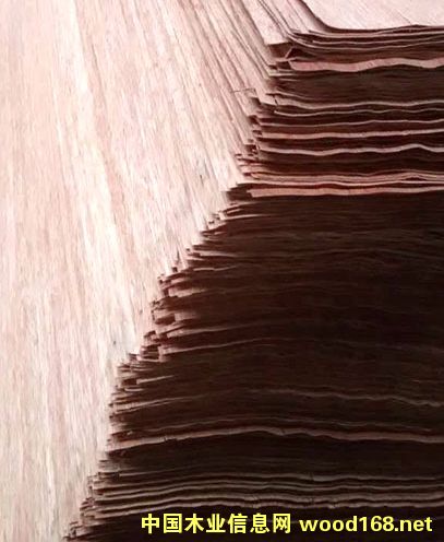 ���ǹ��ΰ��Ԕ��(x��)��B