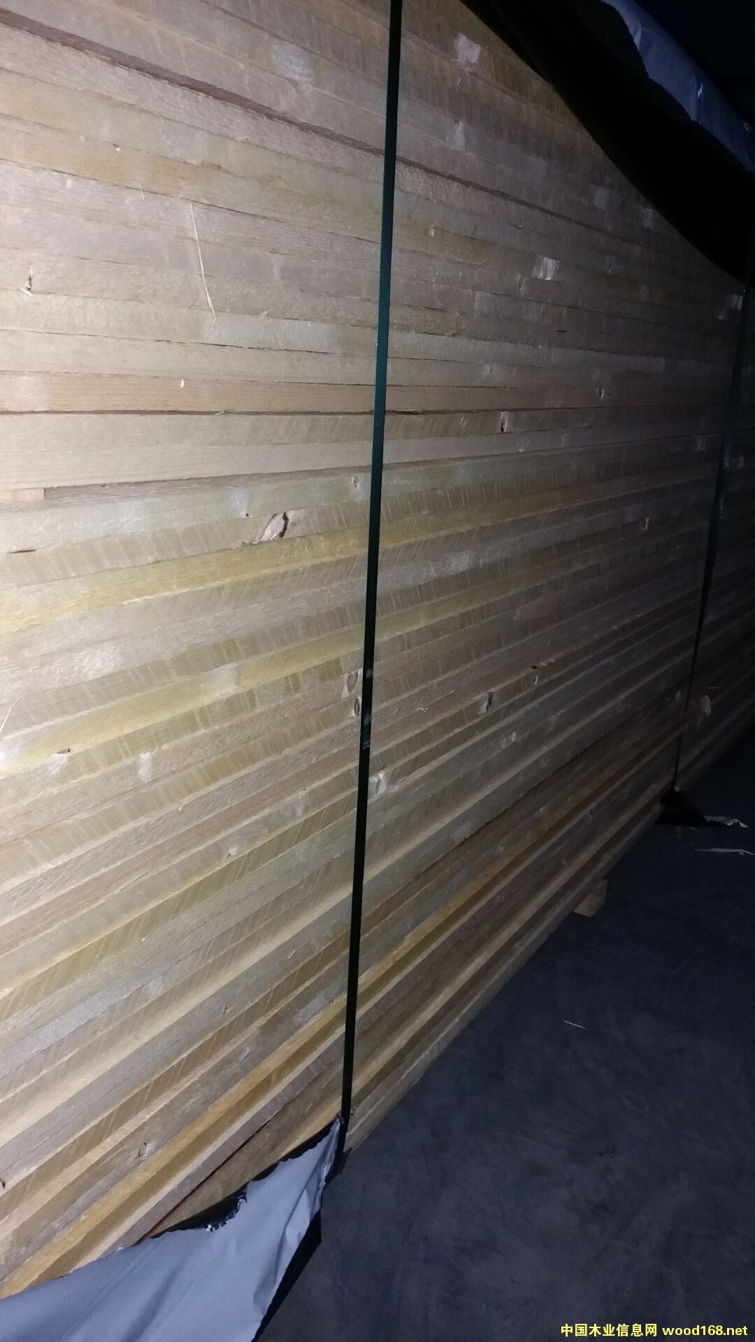 云杉的詳細介紹