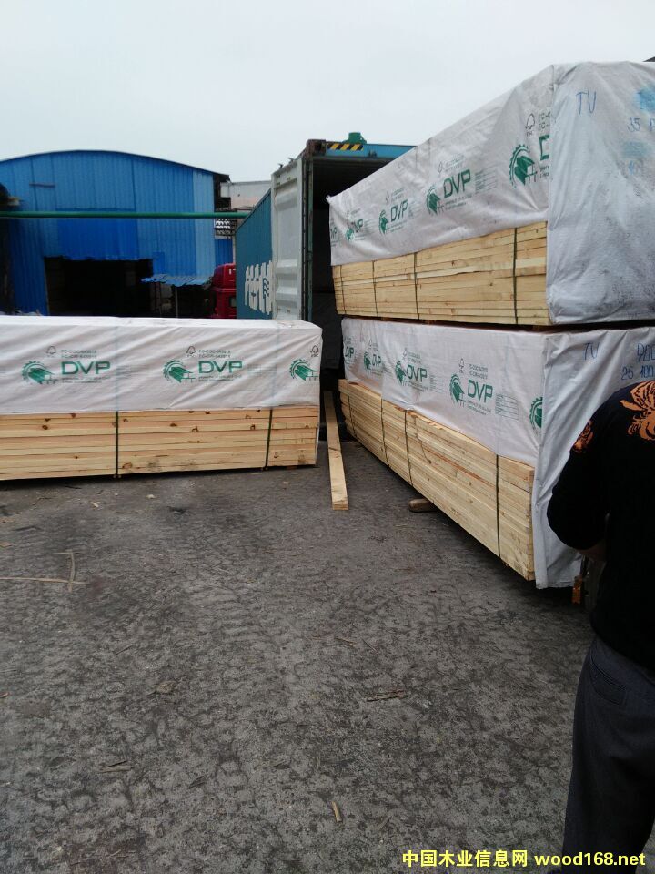 [��] �ӹ��Ҿߴ��塢�󱳰塢��ϰ��