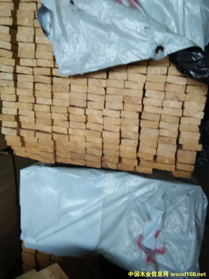 ��ɼ�������ɼҾ߲�