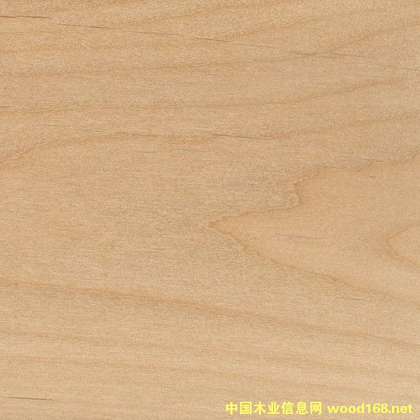 �����Ԕ����B