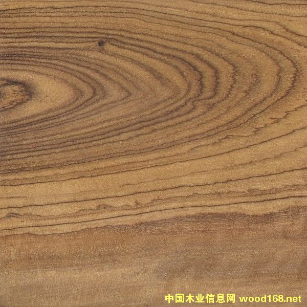 ������ϙ�ľ��Ԕ����B