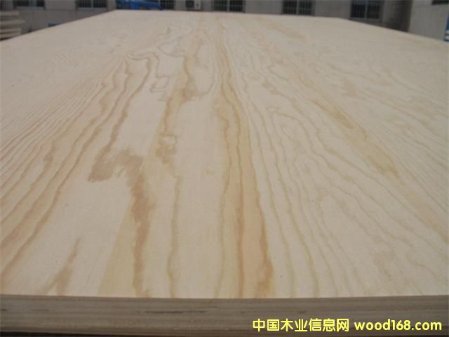 ��ľ�z�ϰ�B