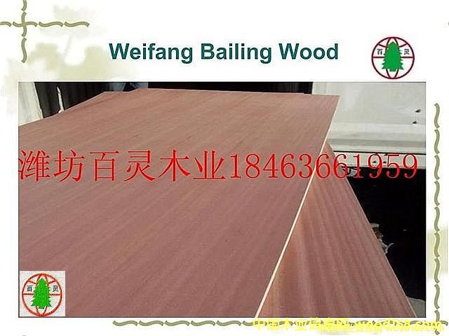 ��Ȼɳ����A