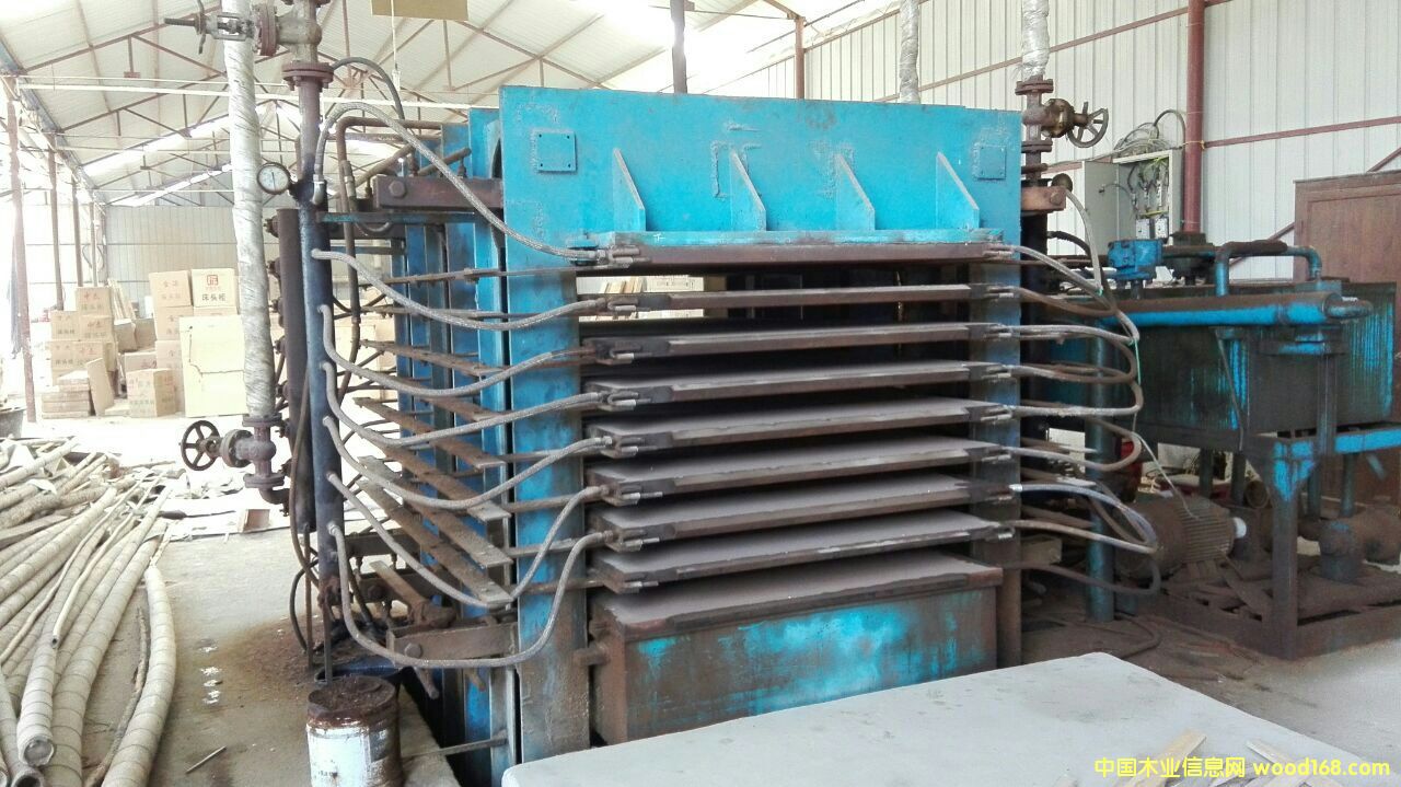 ��ľ�����O��