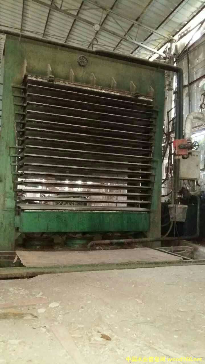 15�ӟቺ�C��18