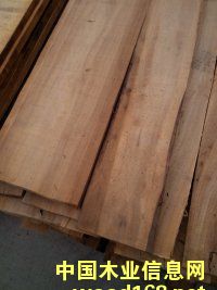 榆木的詳細(xì)介紹