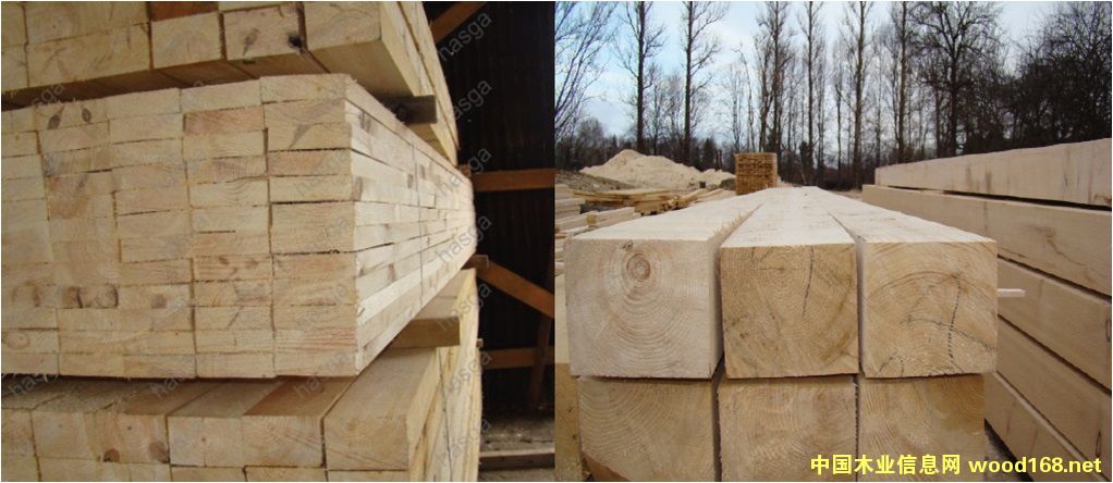 ����ľ��