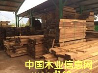 黃檀的詳細介紹