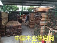 黃檀的詳細介紹