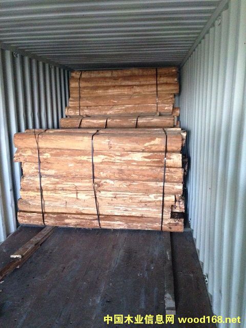 �M����ľ�� 