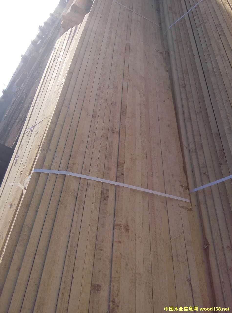 �����ٹ��