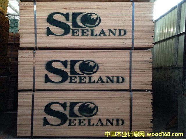 �����M�ڼt��ľ��ľ���