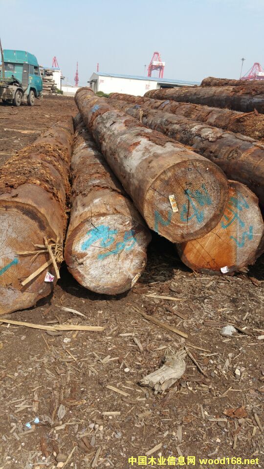 ���ô���