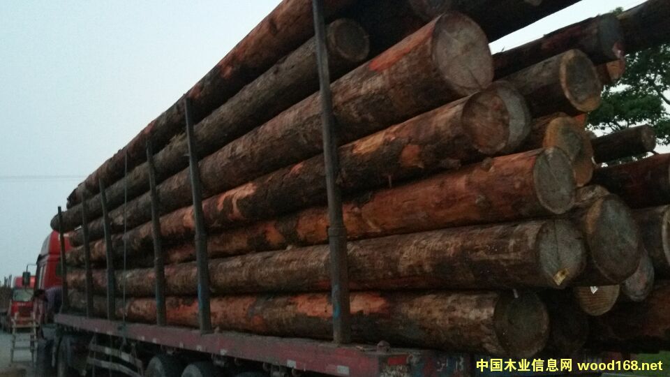 ľ���b܇(ch��)��Ƭ