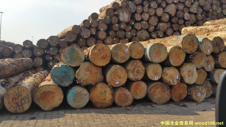 �����mݗ����ԭľ