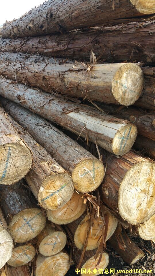 �������ԭľ