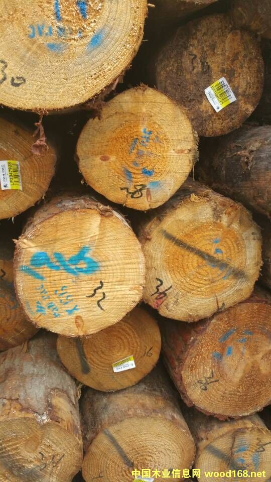 �����mݗ����ԭľ