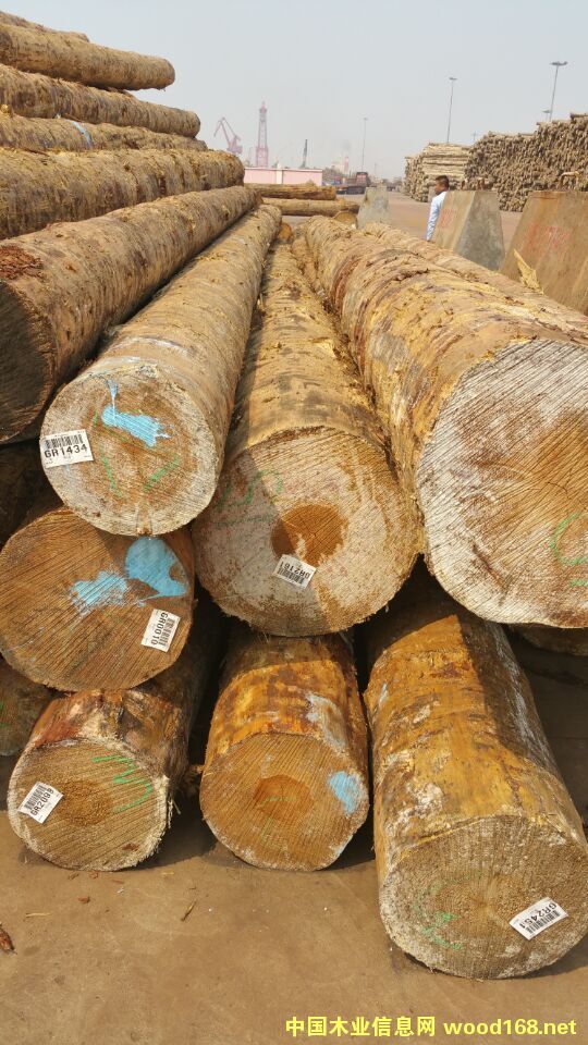 �����S��