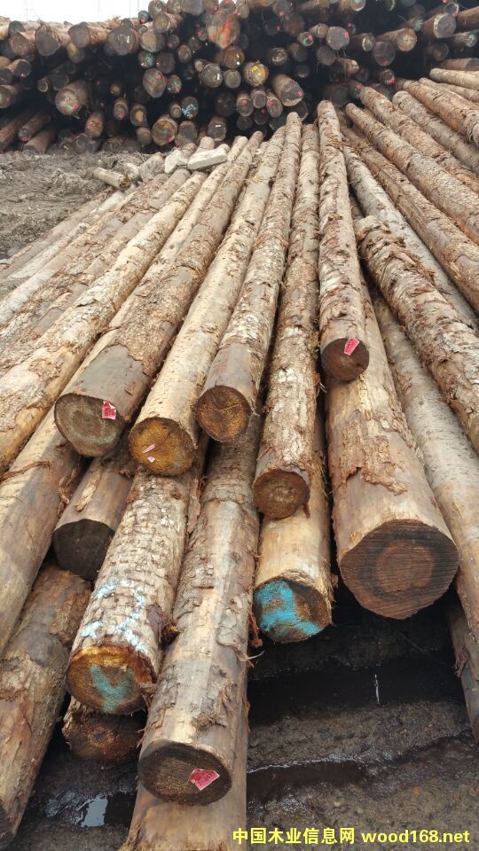 ���ô��Fɼ