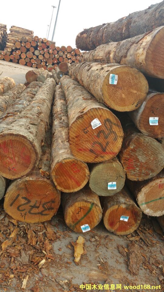 �����m������