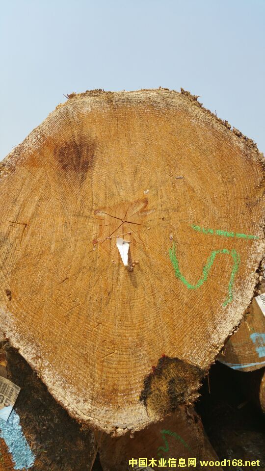 ����(gu��)�S��