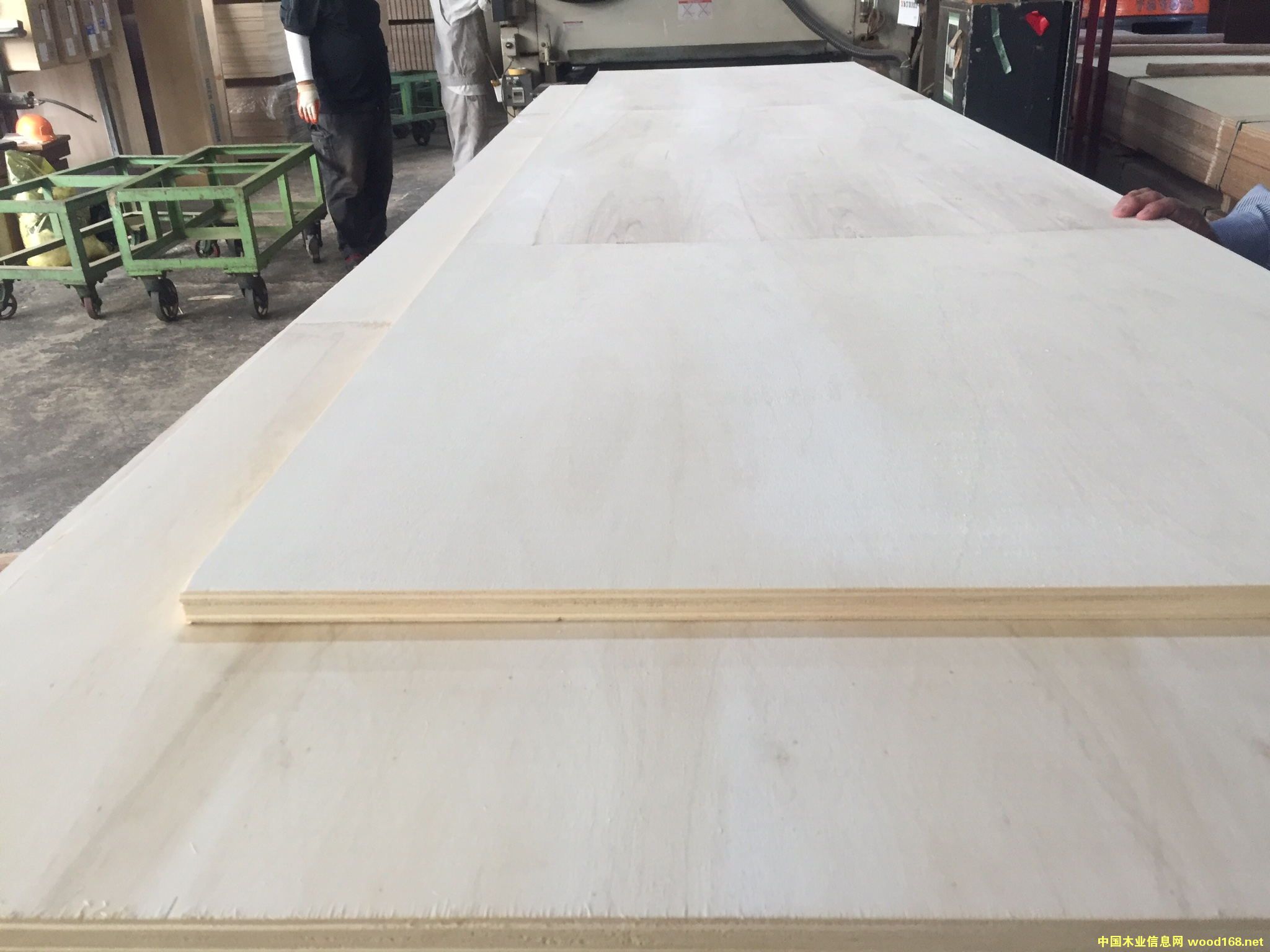 о�ļ���ľLVB