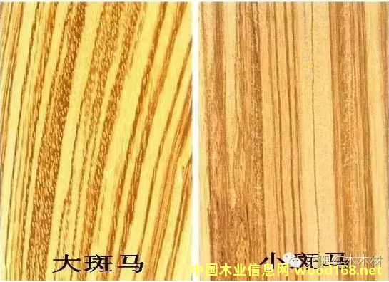 ����ľ�Ҿ��_ʼ���� �����С���Rľ