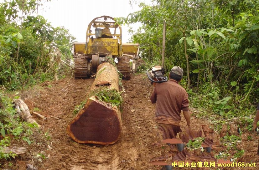 Խ��ľ�Įa(ch��n)�I(y��)�D(zhu��n)���������M(j��n)�������m(x��)����Щ��