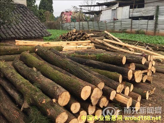 �ϳ䣺�(zh��n)������Ƥ�o�C�ӹ�ľ�� �(zh��n)�L(zh��ng)�Qȫ�ж��ձ�