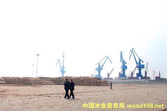 �֘I(y��)��(gu��)�HͶ�Y�Q(m��o)�״��M(j��n)��(hu��)��Մ��(hu��)���(zh��n)�����_