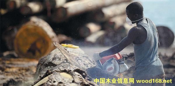 ����ľ�Ĵ�����IѲҕ֮---�Ї��֘I���F�A��ľ�I�ɷݹ�˾