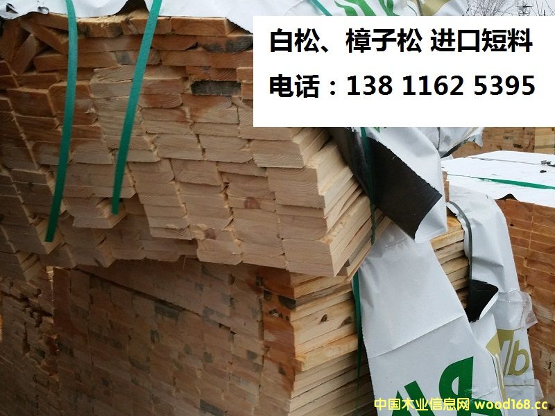 ���ɡ������� ��ɶ���