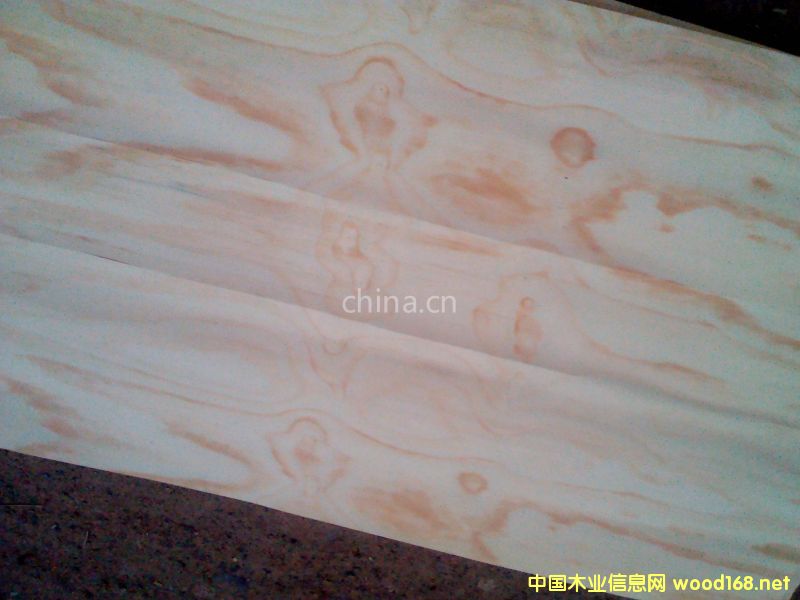 ݗ���ɟo����Ƥ