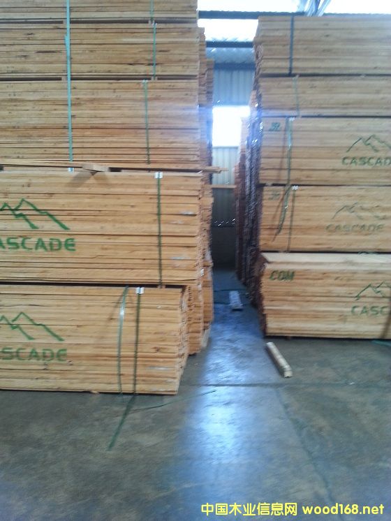 赤楊的詳細介紹