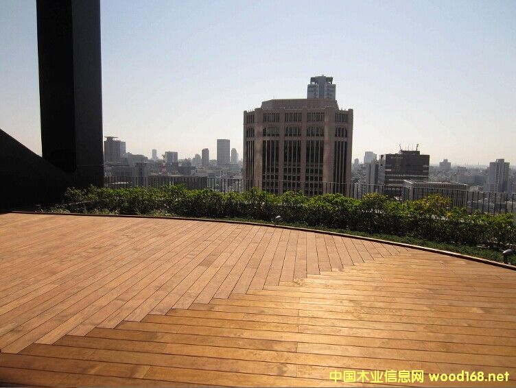 �ձ�ԭ�b�M��Խ��ľ