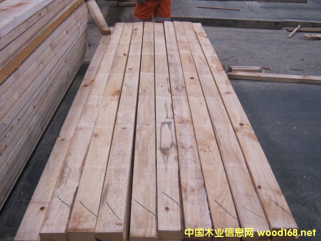 �����ɹ��I���o�{׃ݗ����