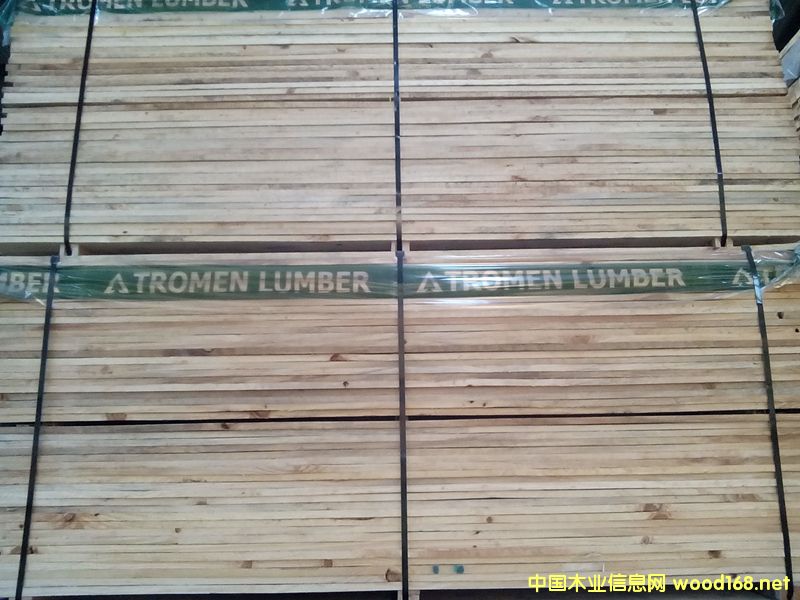 ����ݗ�����{׃��