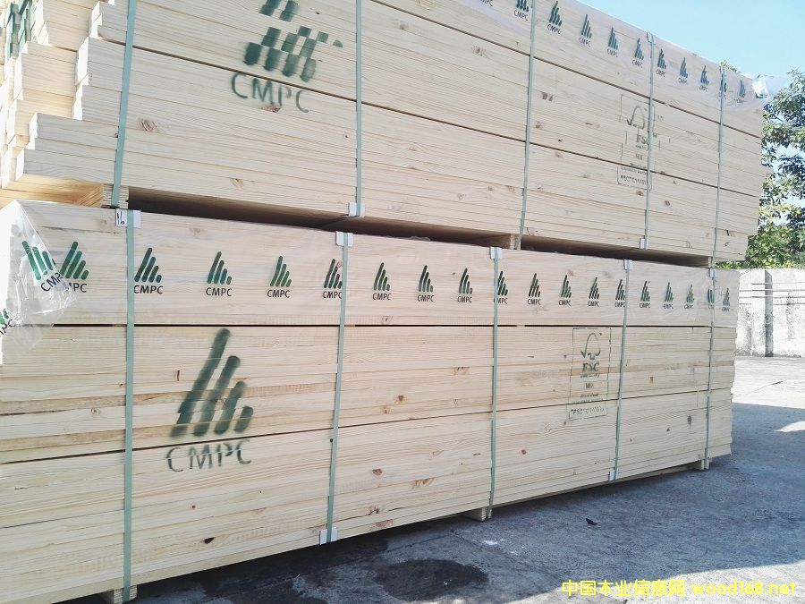 ������ľ