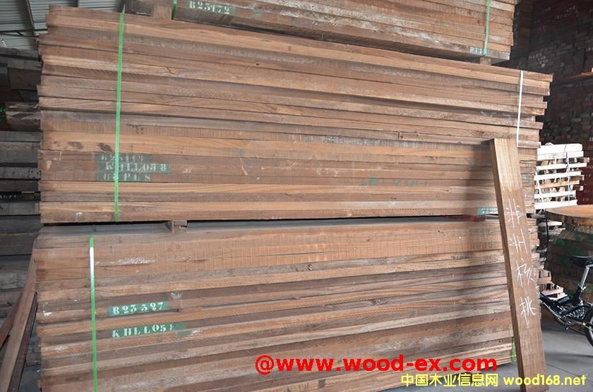 ����ľ��Ԕ����B