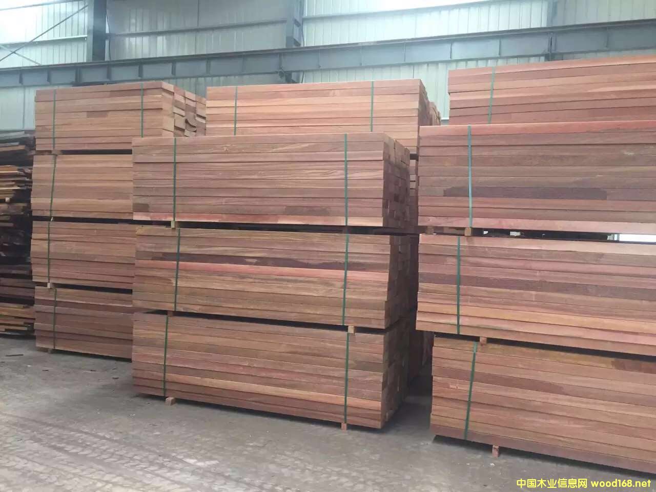 紅鐵木的詳細介紹