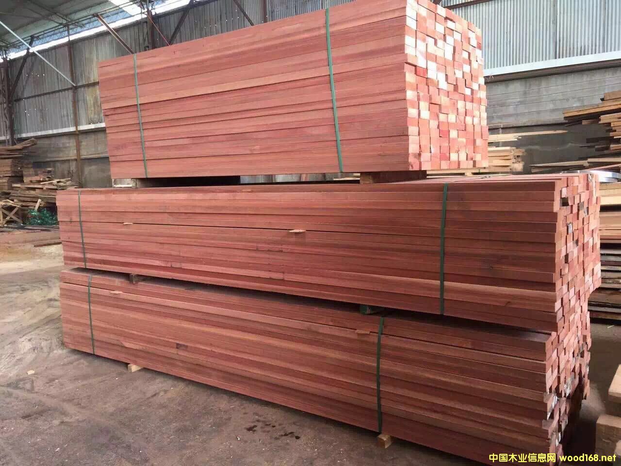 銀口木的詳細介紹