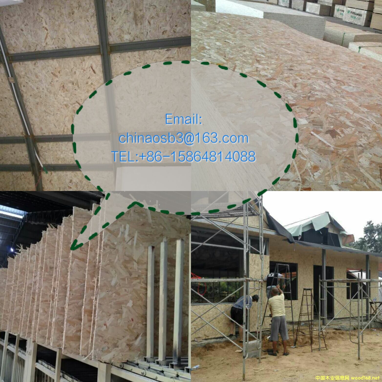 �p䓄e����OSB�r��/����