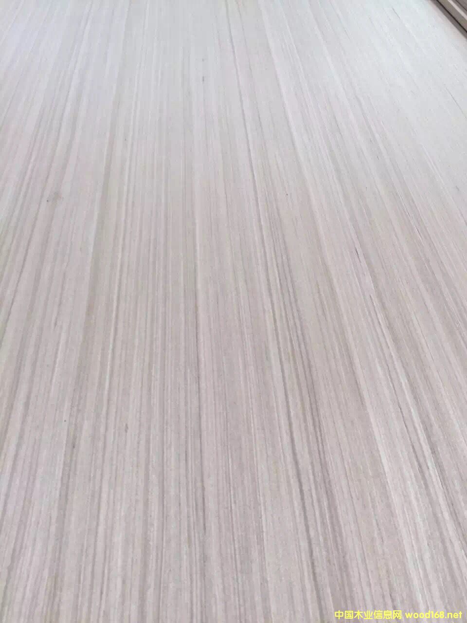 �c(di��n)���鿴�������B(t��i)��18�� ��ľ�Ŵ�DƬ