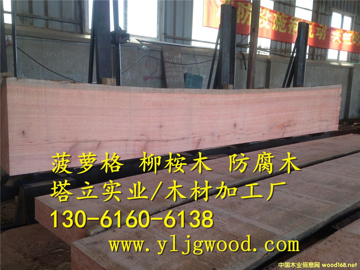 �y��ľ �t���� ����ľ�� ���^�@�� ľ�Y������ ����ľ�ذ�